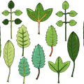 BG捕魚信譽平台盛典版-BG捕魚信譽平台官方网站APP/IOS/安卓/手机版/最新版登录
